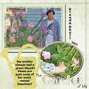 Mom Flowers